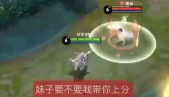 王者爆料西游记视频大全,西游记视频大全，揭秘经典IP的全新演绎