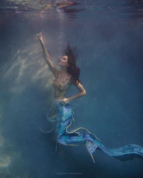 现代美人鱼在线观看