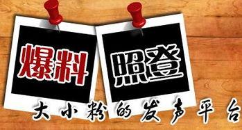 重庆新闻爆料平台,聚焦城市热点，揭秘幕后真相